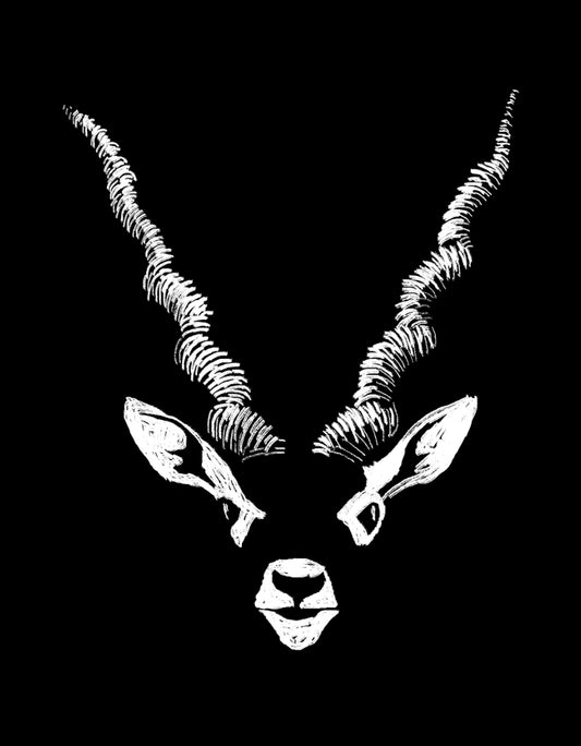 Blackbuck Graphic Unisex Hoodie for Wildlife & Nature Lovers