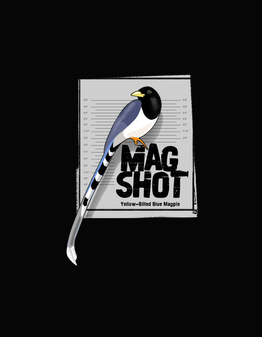 Unisex Blue Magpie Hoodie – Perfect for Bird Lovers & Nature Enthusiasts